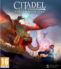 Citadel: Forged with Fire