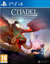 Citadel: Forged with Fire PS4