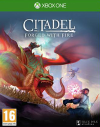 Citadel: Forged with Fire