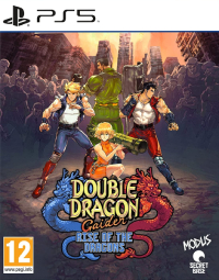 Double Dragon Gaiden: Rise of the Dragons