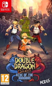 Double Dragon Gaiden: Rise of the Dragons