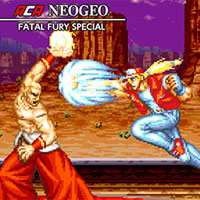 Fatal Fury Special