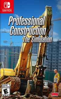 Professional Construction: The Simulation